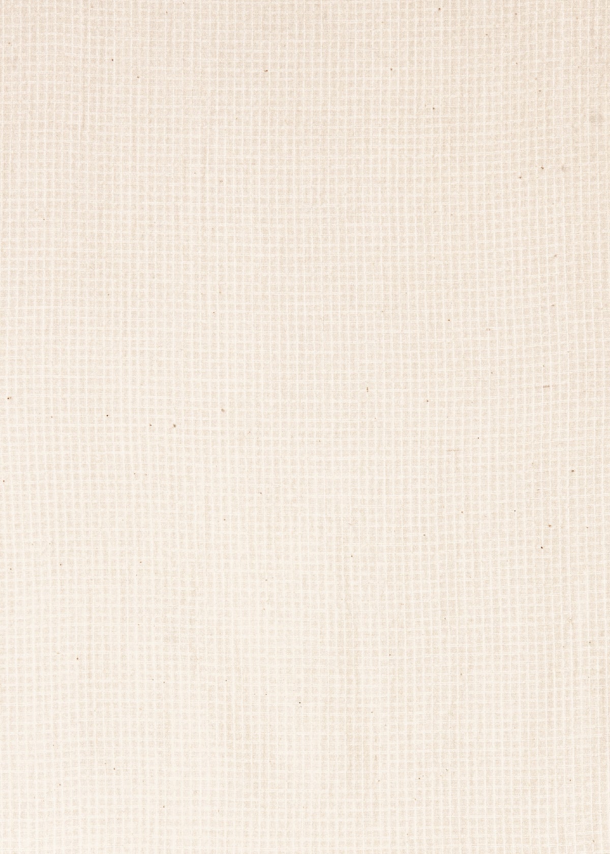 Alma Tiny Checks Top - Natural